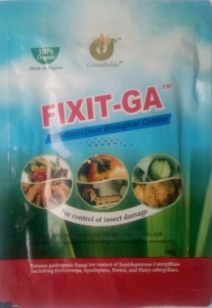 Fixit-GA