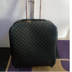 Louis Vuitton Trolley Pilot Box